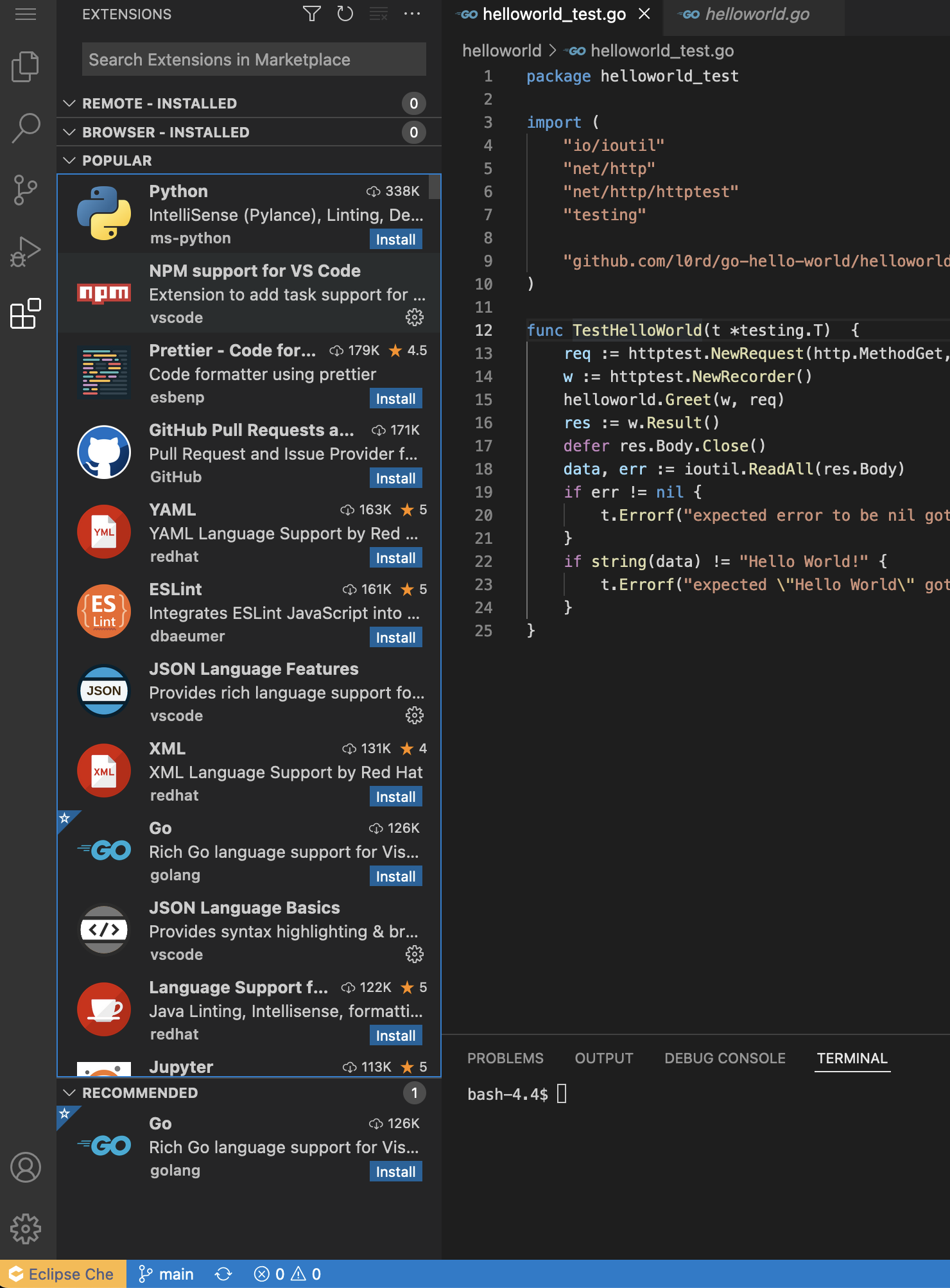 VS Code Extension view